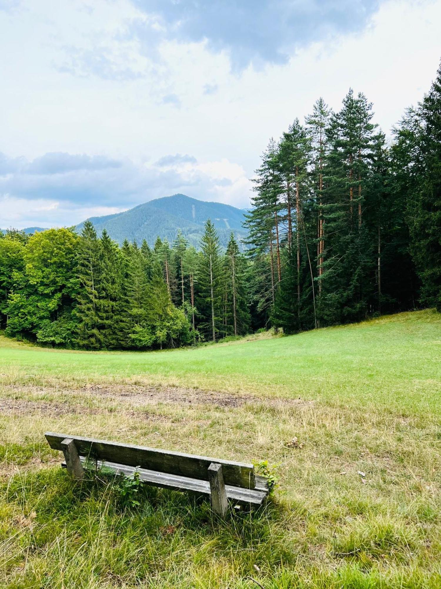 Dorfpension Mariahilfberg Gutenstein エクステリア 写真
