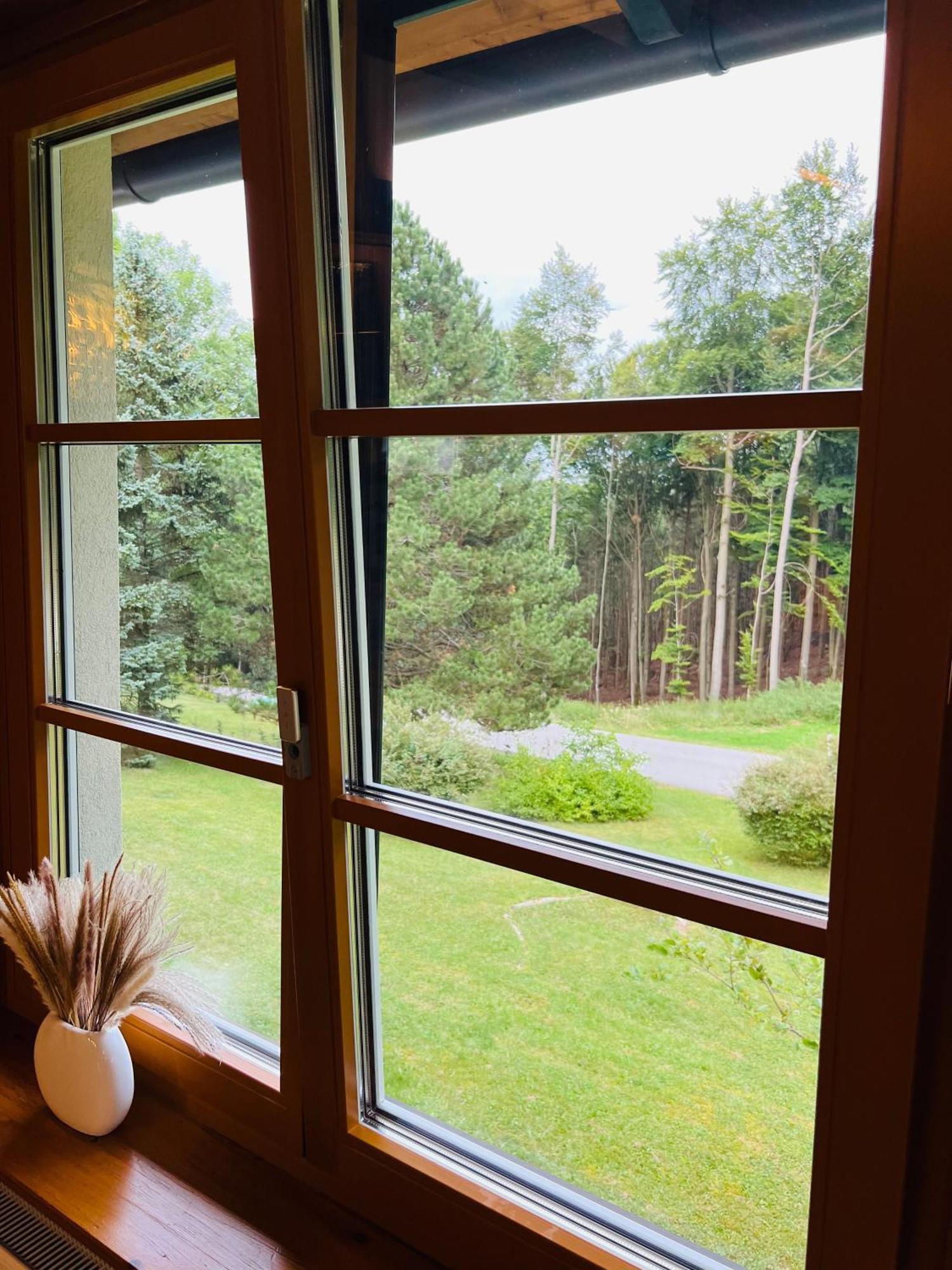 Dorfpension Mariahilfberg Gutenstein エクステリア 写真